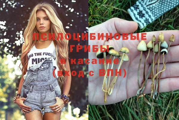 амфетамин Гусиноозёрск