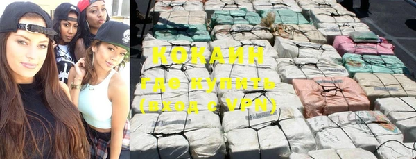 не бодяженный Гусев