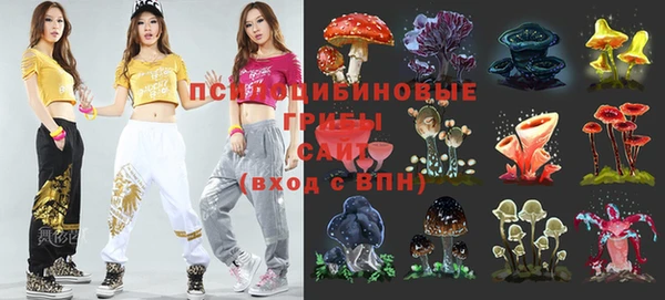 не бодяженный Гусев