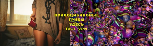 не бодяженный Гусев