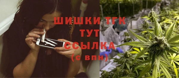 не бодяженный Гусев